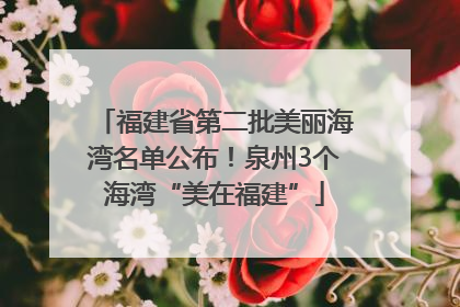 福建省第二批美丽海湾名单公布！泉州3个海湾“美在福建”