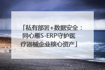 私有部署+数据安全：同心雁S-ERP守护医疗器械企业核心资产