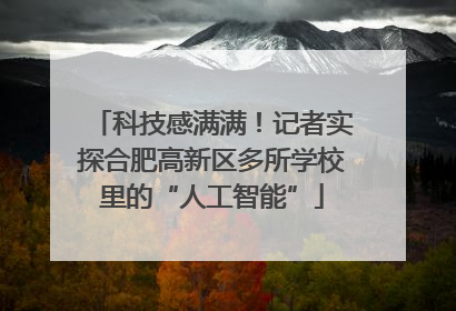 科技感满满！记者实探合肥高新区多所学校里的“人工智能”