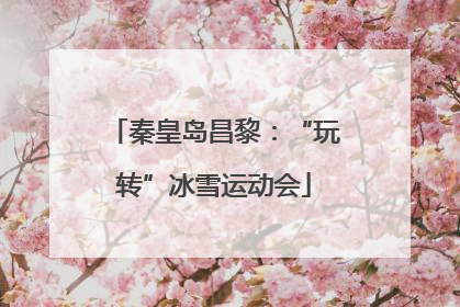 秦皇岛昌黎：“玩转”冰雪运动会