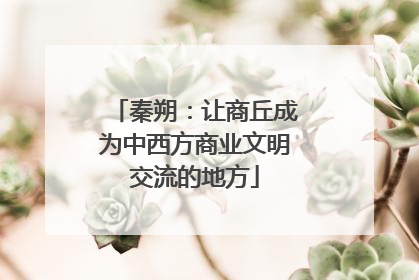 秦朔：让商丘成为中西方商业文明交流的地方