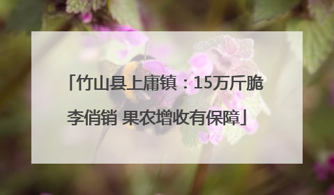 竹山县上庸镇：15万斤脆李俏销 果农增收有保障