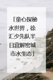 童心探秘水世界，徐汇少先队半日营解密城市水生态