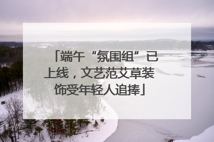 端午“氛围组”已上线，文艺范艾草装饰受年轻人追捧