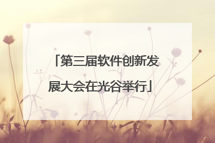 第三届软件创新发展大会在光谷举行