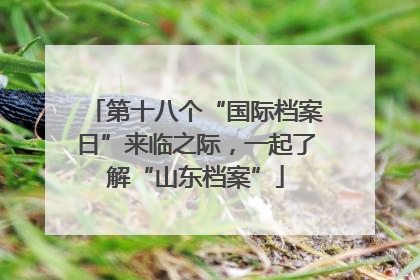 第十八个“国际档案日”来临之际，一起了解“山东档案”