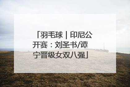 羽毛球｜印尼公开赛：刘圣书/谭宁晋级女双八强