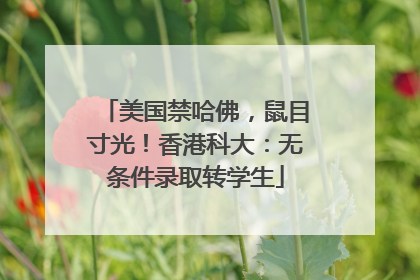 美国禁哈佛，鼠目寸光！香港科大：无条件录取转学生