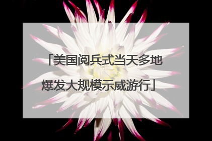 美国阅兵式当天多地爆发大规模示威游行