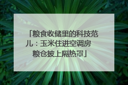 粮食收储里的科技范儿：玉米住进空调房 粮仓披上隔热罩