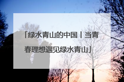绿水青山的中国丨当青春理想遇见绿水青山