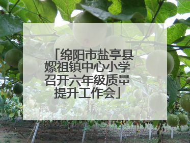 绵阳市盐亭县嫘祖镇中心小学召开六年级质量提升工作会