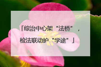 综治中心架“法桥”，检法联动护“学途”