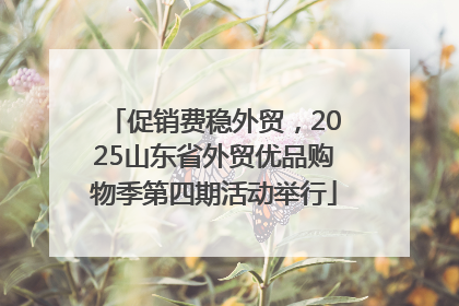 促销费稳外贸，2025山东省外贸优品购物季第四期活动举行