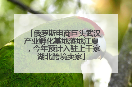俄罗斯电商巨头武汉产业孵化基地落地江夏，今年预计入驻上千家湖北跨境卖家