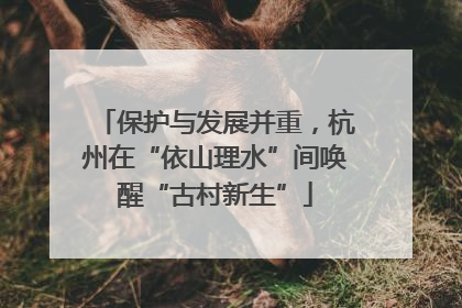 保护与发展并重，杭州在“依山理水”间唤醒“古村新生”