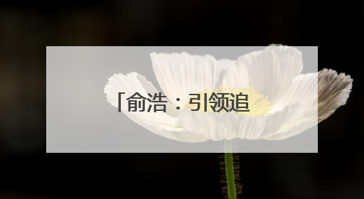 俞浩：引领追觅破浪前行的科技领航者