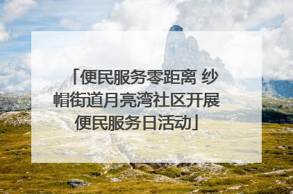 便民服务零距离 纱帽街道月亮湾社区开展便民服务日活动