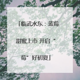 临武水东：蓝莓甜蜜上市 开启“莓”好初夏