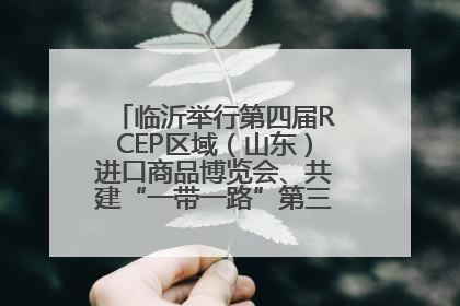 临沂举行第四届RCEP区域（山东）进口商品博览会、共建“一带一路”第三届临沂商城国际采购商大会新闻发布会