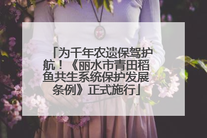 为千年农遗保驾护航！《丽水市青田稻鱼共生系统保护发展条例》正式施行