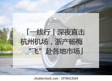 一线行丨深夜直击杭州机场，浙产杨梅“飞”赴各地市场