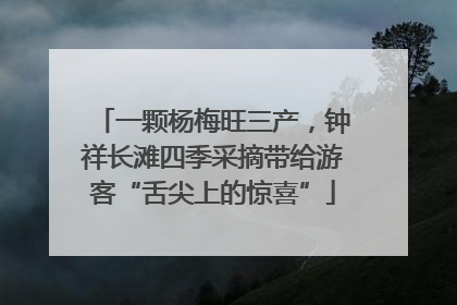 一颗杨梅旺三产，钟祥长滩四季采摘带给游客“舌尖上的惊喜”