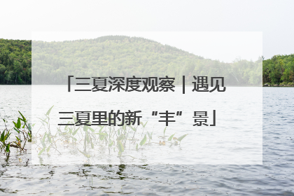 三夏深度观察｜遇见三夏里的新“丰”景