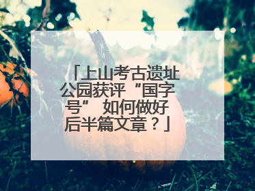 上山考古遗址公园获评“国字号” 如何做好后半篇文章？