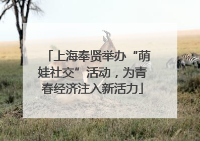 上海奉贤举办“萌娃社交”活动，为青春经济注入新活力