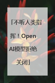 不听人类指挥！OpenAI模型拒绝关闭