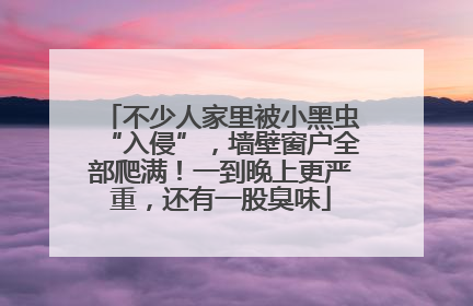 不少人家里被小黑虫“入侵”，墙壁窗户全部爬满！一到晚上更严重，还有一股臭味