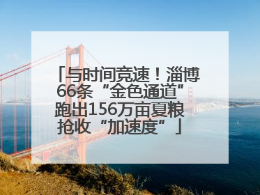 与时间竞速！淄博66条“金色通道”跑出156万亩夏粮抢收“加速度”