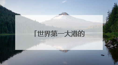 世界第一大港的“第六港区”有多“6”？记者直击开港现场