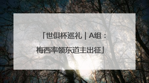 世俱杯巡礼｜A组：梅西率领东道主出征