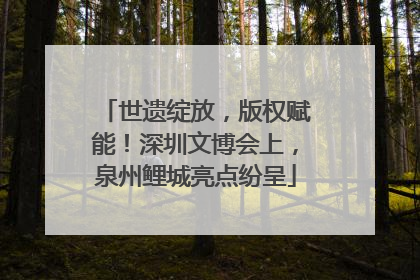 世遗绽放，版权赋能！深圳文博会上，泉州鲤城亮点纷呈
