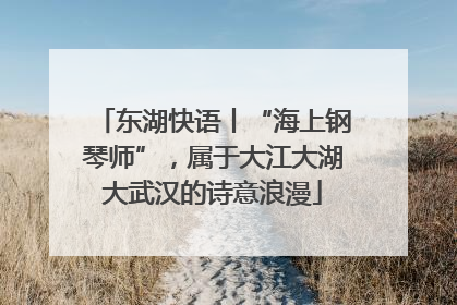 东湖快语丨“海上钢琴师”，属于大江大湖大武汉的诗意浪漫