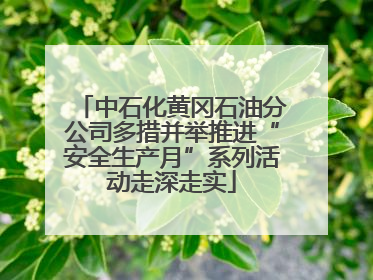 中石化黄冈石油分公司多措并举推进“安全生产月”系列活动走深走实
