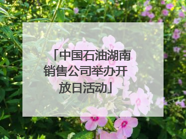 中国石油湖南销售公司举办开放日活动