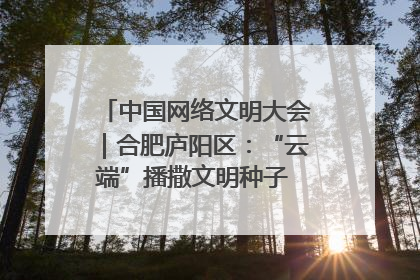 中国网络文明大会｜合肥庐阳区：“云端”播撒文明种子 共建清朗网络空间