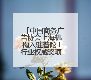 中国商务广告协会上海机构入驻普陀！行业权威奖项同步落户