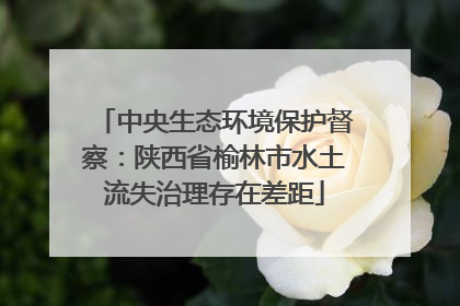 中央生态环境保护督察：陕西省榆林市水土流失治理存在差距