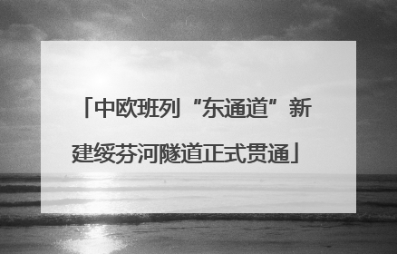 中欧班列“东通道”新建绥芬河隧道正式贯通