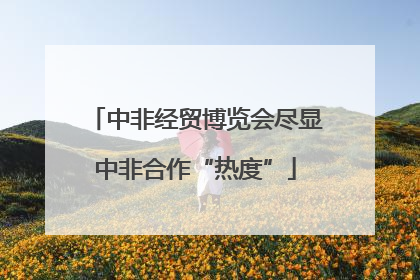 中非经贸博览会尽显中非合作“热度”