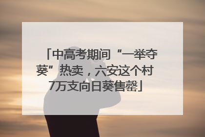 中高考期间“一举夺葵”热卖，六安这个村7万支向日葵售罄