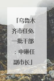 乌鲁木齐市任免一批干部：申琳任副市长