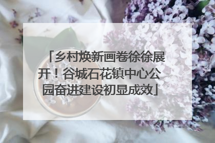 乡村焕新画卷徐徐展开！谷城石花镇中心公园奋进建设初显成效
