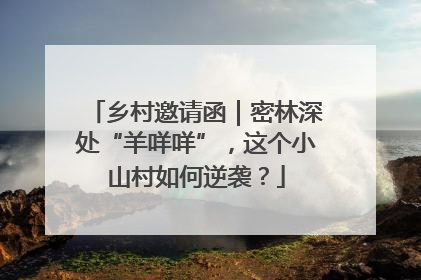 乡村邀请函｜密林深处“羊咩咩”，这个小山村如何逆袭？