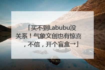买不到Labubu没关系！气象文创也有惊喜，不信，开个盲盒→