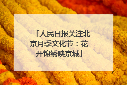 人民日报关注北京月季文化节：花开锦绣映京城